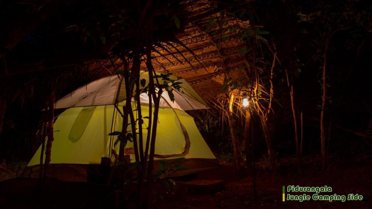 Готель Sigiri Jungle Camping Сігірія Екстер'єр фото